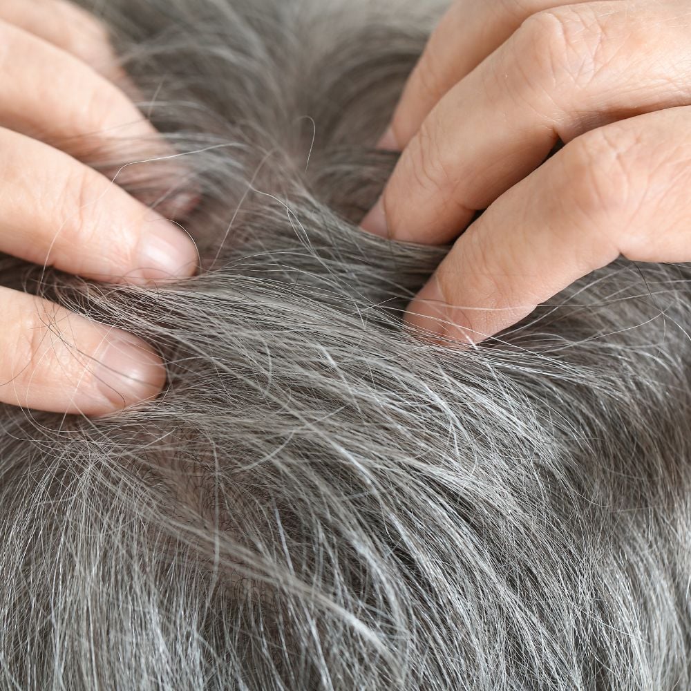 Pelo gris-1