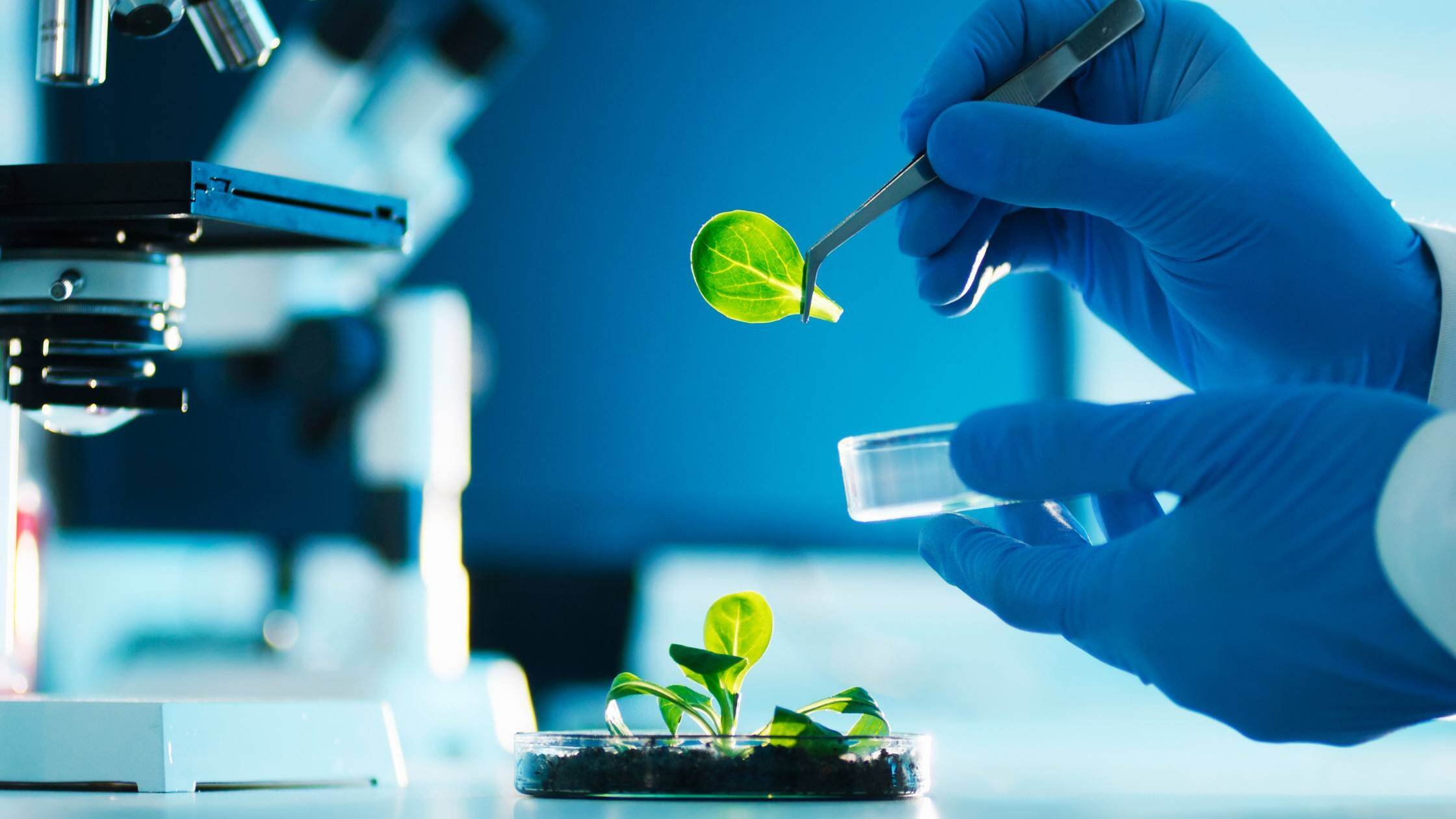 laboratorio
