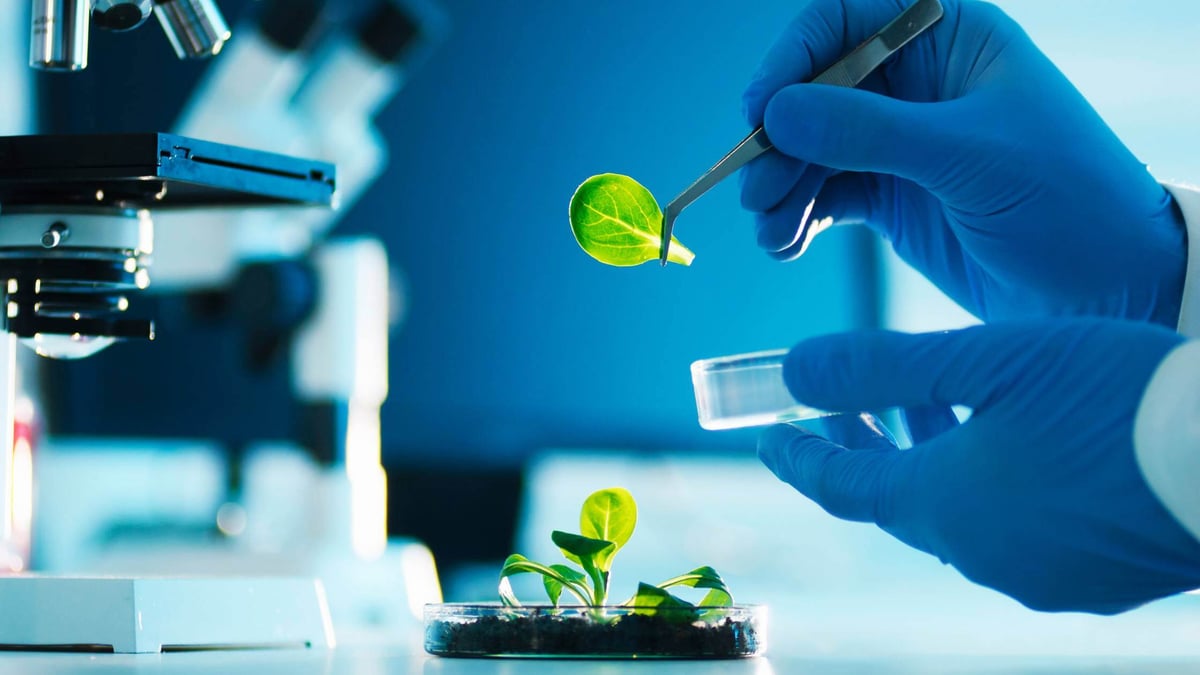 laboratorio