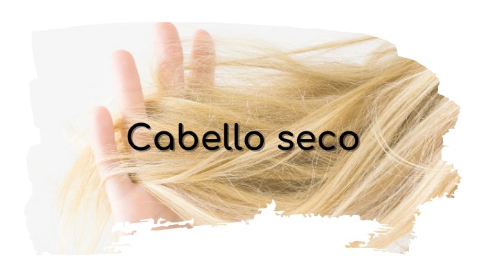 mascarilla cabello seco